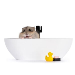 Nega i higijena