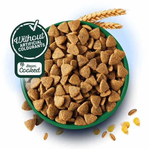 Brekkies Dog Adult Piletina 20kg2 Brekkies Dog Adult Piletina 20kg - Dont Ker Pet Shop