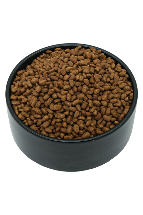 Fancy-6 Premil Cat Adult Fancy - Dont Ker Pet Shop