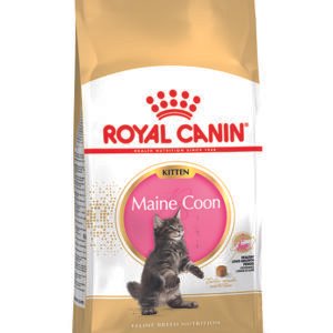Royal Canin Maine Coon Kitten 2kg