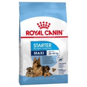 Royal Canin Maxi Starter 4kg