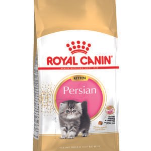Royal Canin Kitten Persian