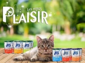plaisir