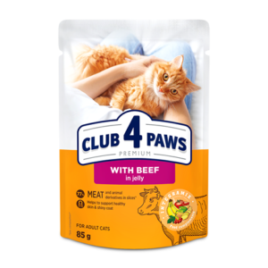 Club4Paws sos za mačke Govedina u želeu 85g