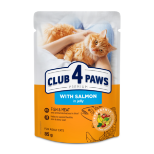 Club4Paws sos za mačke Losos u želeu 85g