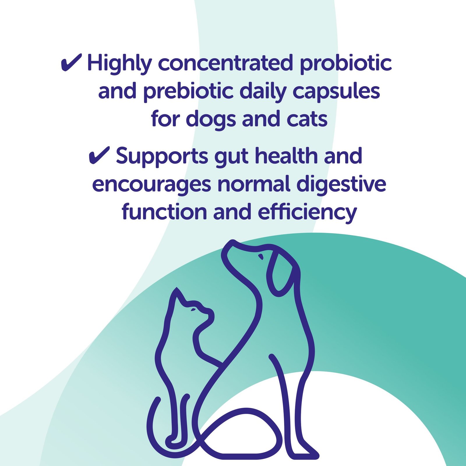 Protexin Synbiotic D-C 50 kapsula2 Protexin Synbiotic D-C 50 kapsula