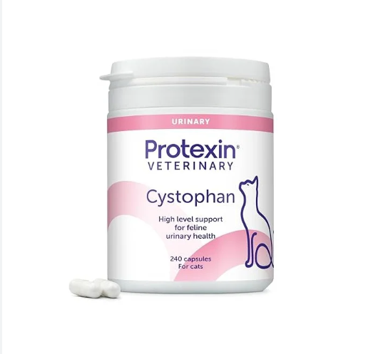 Screenshot 2026-06-23 103848 Protexin Cystophan 240 kapsula