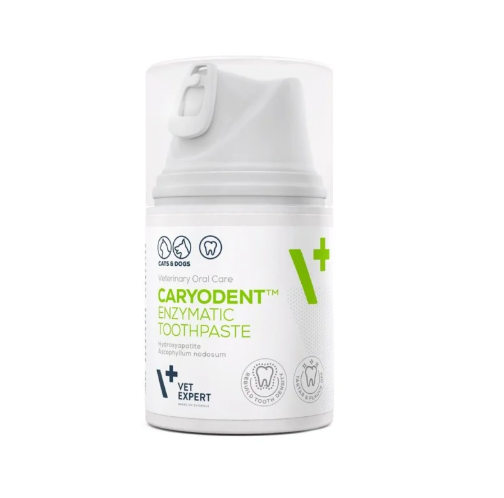 Screenshot 2026-06-24 111409 VetExpert Caryodent Enzymatic pasta 50ml