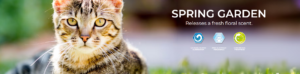 EverClean Spring Garden 6L