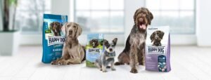 happy dog banner