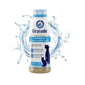 Oralade GI 500ml
