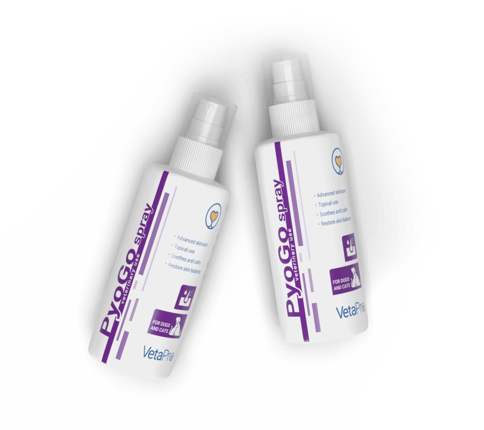 VetaPro PyoGo Spray 4% Chlorhexidine 200ml VetaPro PyoGo Spray 4% Chlorhexidine 200ml