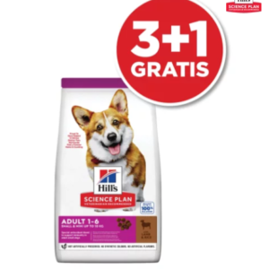 Hill's Adult Small&Mini Jagnjetina 6kg 3+1 gratis