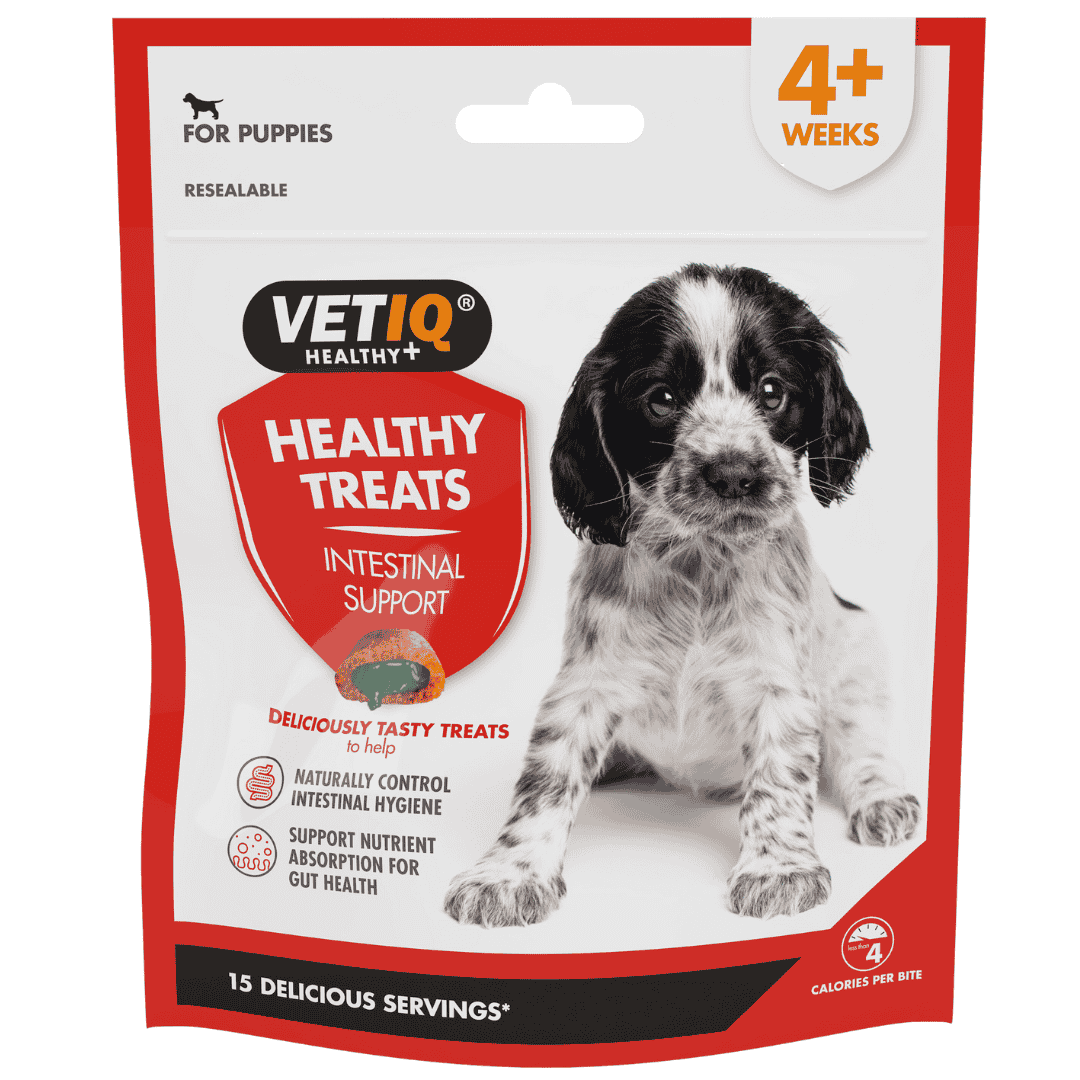 VetIQ Intestinal Support - Podrška zdravlju creva 50g VetIQ Intestinal Support - Podrška zdravlju creva 50g