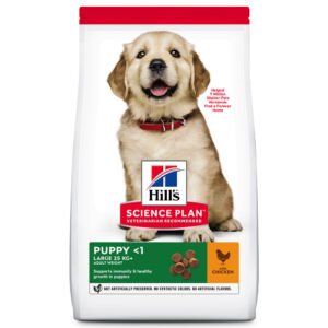 Hill's Puppy Large Piletina 14.5kg