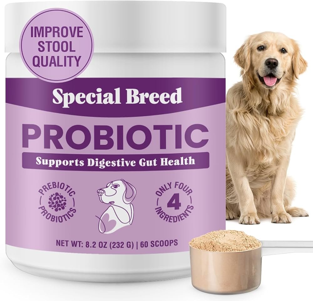 Probiotik za pse i mačke – kada se koristi i kako izabrati pravi?