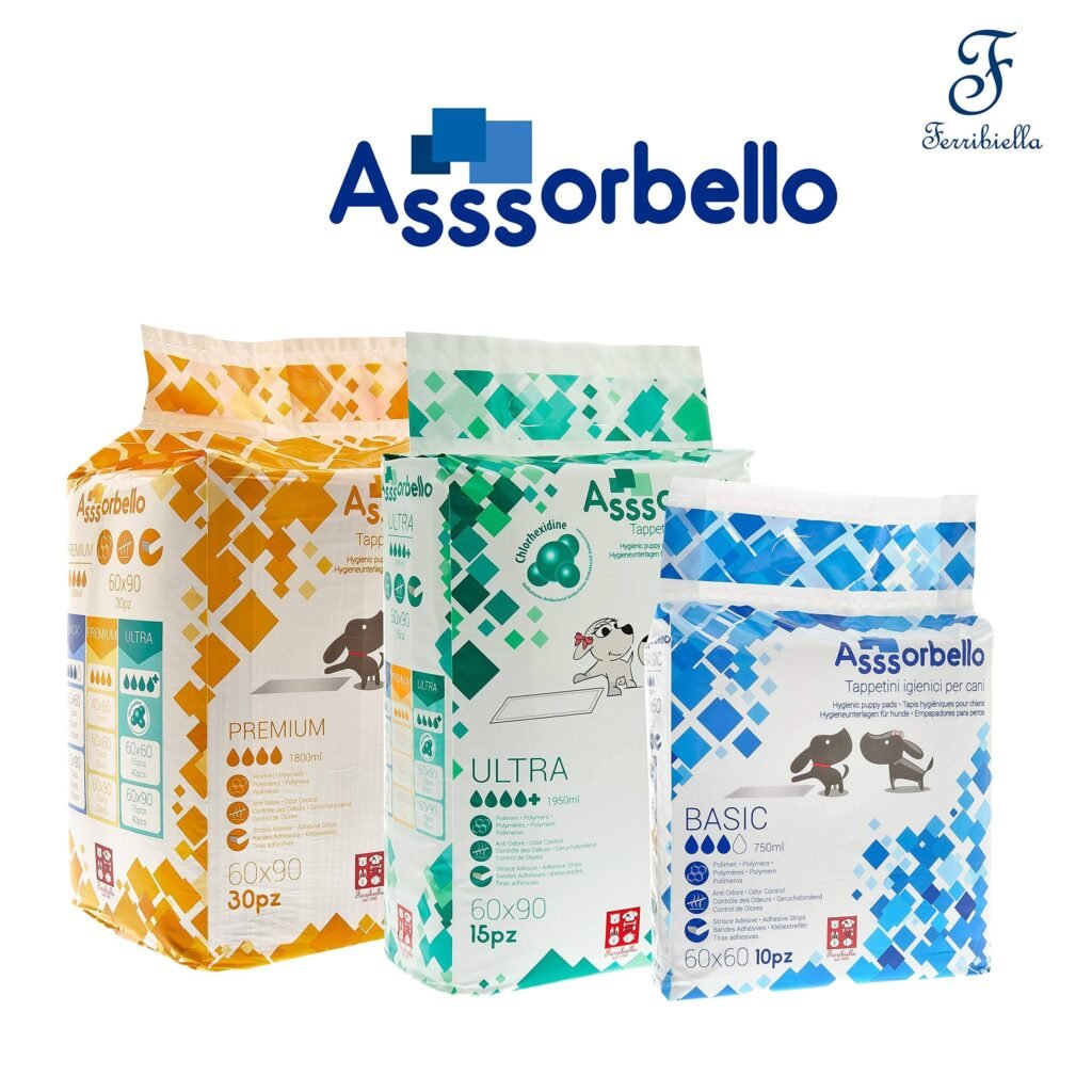 Assorbello pelene