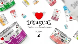 Disugual banner