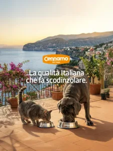 cennamo
