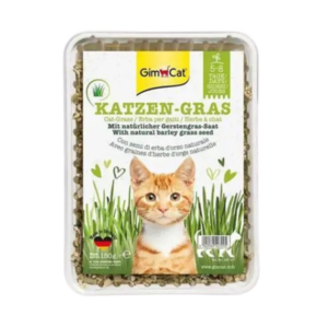 GimCat Katzen-gras mačija trava 150g