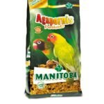 Manitoba Agapornis parakeets 1kg