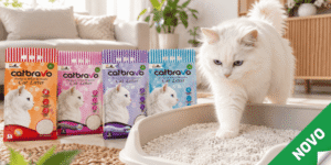 CatBravo posipi banner