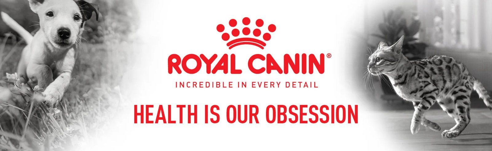 Buy Royal Canin Pet Food Online In Canada - Everyday Low Prices – PetMax