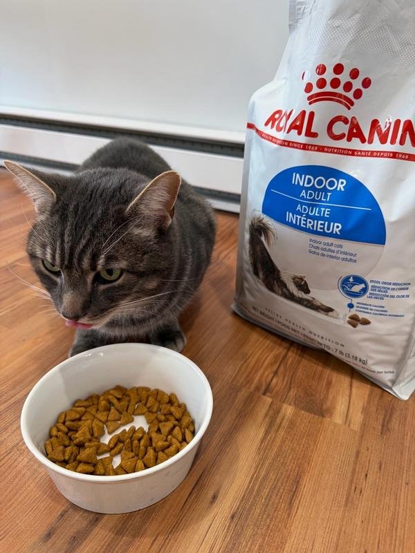 Royal Canin Indoor hrana za mačke