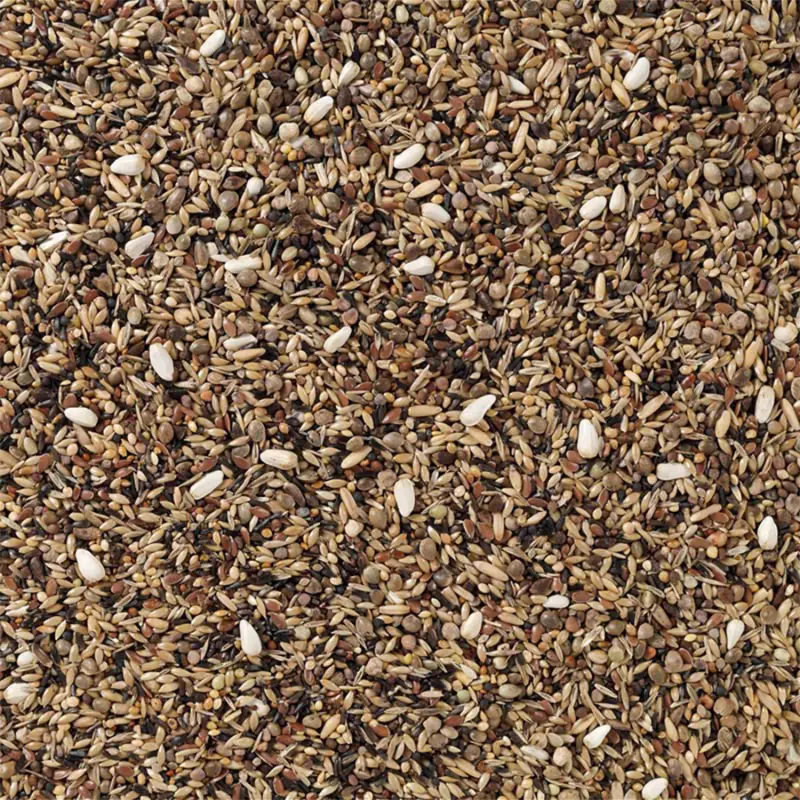 Deli Nature 83 British Finches without Rapeseed 15kg mešavina za evropske zebe bez repice – izgled mešavine Deli Nature 83 British Finches without Rapeseed 15kg mešavina za evropske zebe bez repice – izgled mešavine