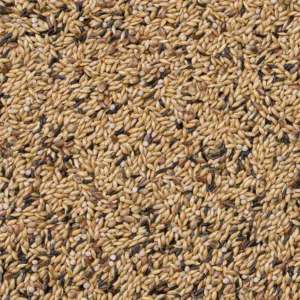 Deli Nature 54 Canaries Breeding with White Perilla 20kg mešavina za parenje kanarinaca – vreća