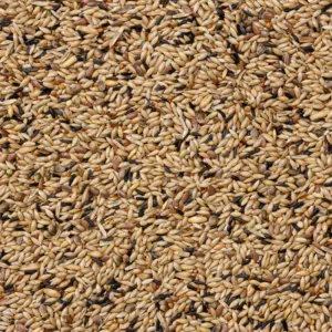 Deli Nature 80 Canaries Breeding without Rapeseed 20kg mešavina za kanarince bez repice – vreća