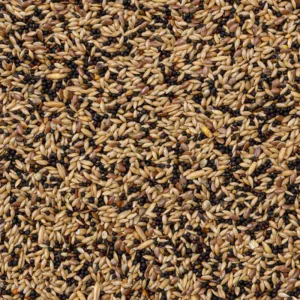 Deli Nature 53 Canaries Extra 20kg univerzalna mešavina za kanarince pevače – vreća