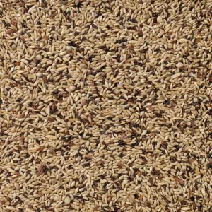 Deli Nature Canaries Premium hrana za kanarince – pakovanje