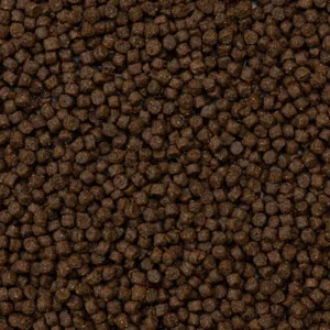 Deli Nature Ferrets Rodelicious – granule