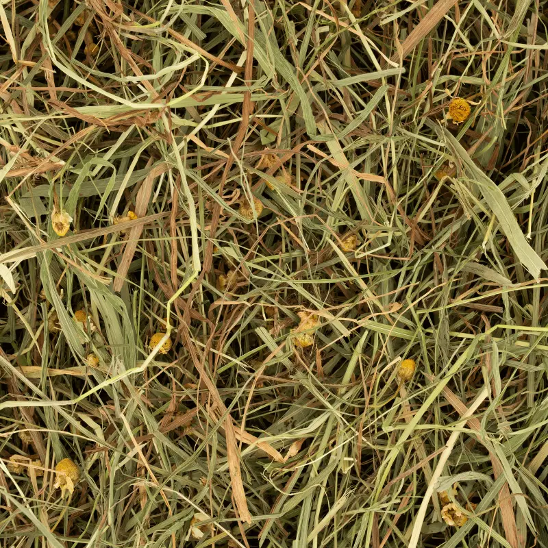 Deli Nature Herbal Hay - Chamomile & Mint Rodelicious 600g seno sa kamilicom i nanom – pakovanje Deli Nature Herbal Hay - Chamomile & Mint Rodelicious 600g seno sa kamilicom i nanom – pakovanje