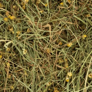 Deli Nature Herbal Hay - Daisy & Dandelion Rodelicious 600g seno sa belom radom i maslačkom – pakovanje