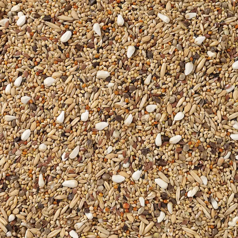 Deli Nature 68 Large Parakeets without Sunflower Seed 20kg mešavina bez suncokreta za srednje papagaje – izgled mešavine Deli Nature 68 Large Parakeets without Sunflower Seed 20kg mešavina bez suncokreta za srednje papagaje – izgled mešavine