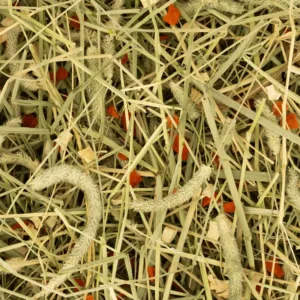 Deli Nature Timothy Hay Carrot & Parsnip 600g timotejevo seno – pakovanje