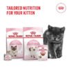 royal canin kitten banner