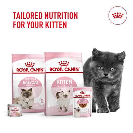 royal canin kitten banner
