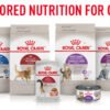 royal canin za macke blog