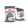 royal hairball za macke